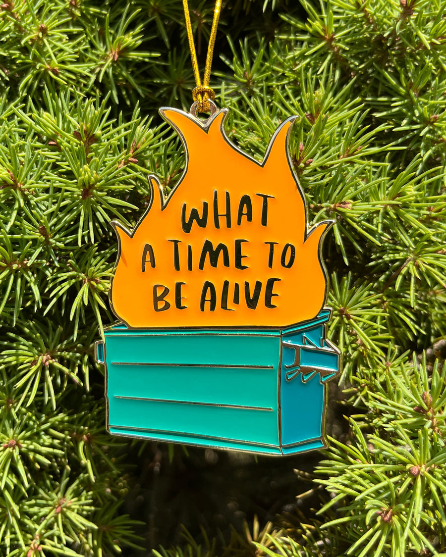 Dumpster Fire Ornament-Ornaments-And Here We Are