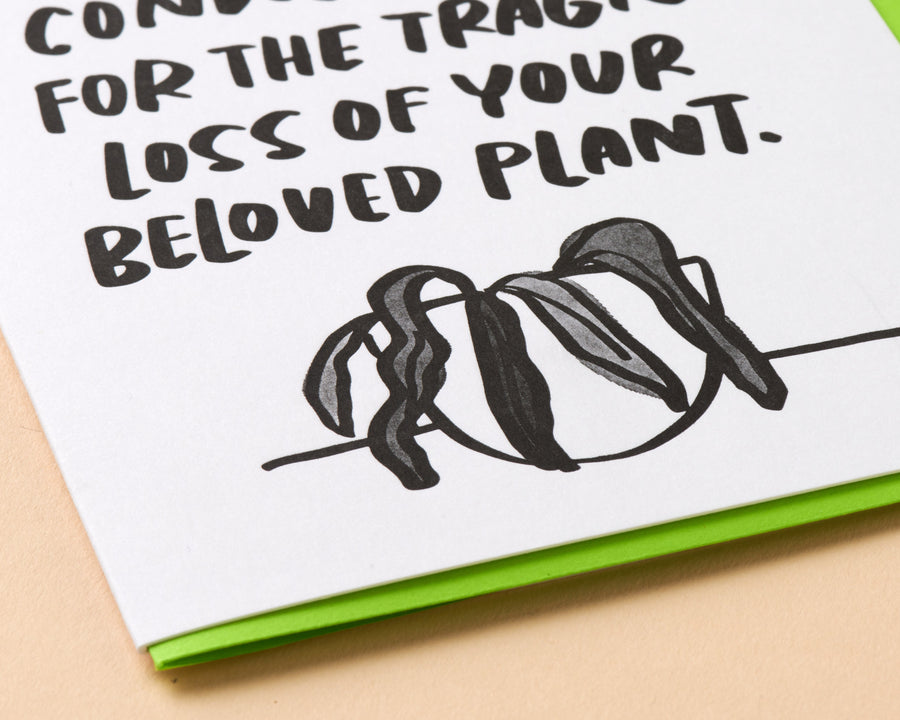 Dead Plant Card-Greeting Cards-And Here We Are